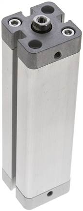 Airtec | NXD20/100-AG | 20mm Bore x 100mm Stroke | Pneumatic Cylinder